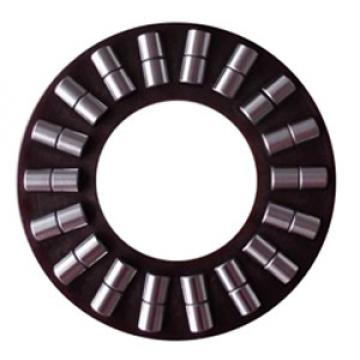 INA K89306-TV Thrust Roller Bearing