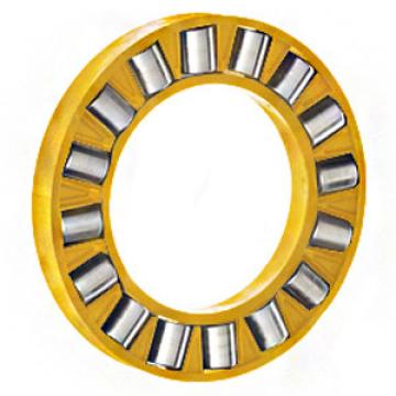 INA K81136-M Thrust Roller Bearing