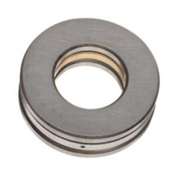 INA RTL25 Thrust Roller Bearing