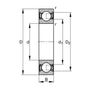 Bearing S6005-2RSR FAG