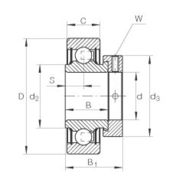 Bearing RA101-NPP INA