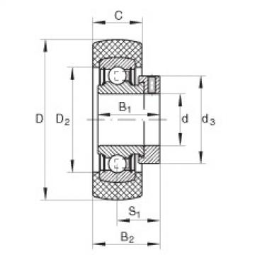 Bearing RABRA30/62-FA106 INA