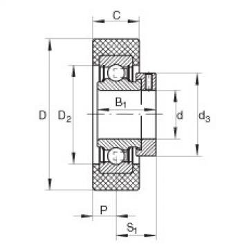 Bearing RCSMB15/65-FA106 INA