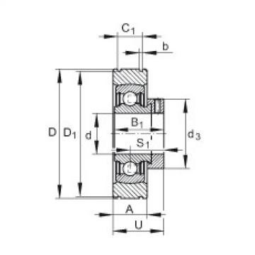 Bearing PE30 INA