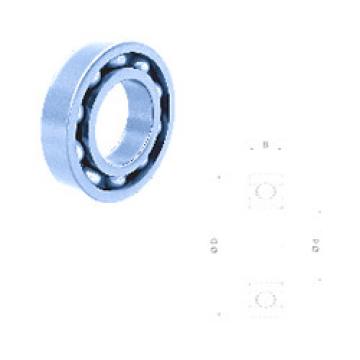 Bearing PDG256318 PFI