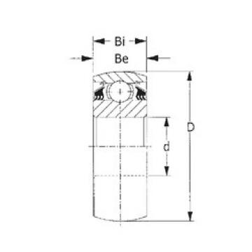 Bearing W209PPB2 CYSD