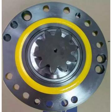 best performance EX100-1 Crane Slew Bearing for Gantry Crane