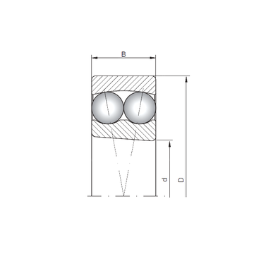 2221K CX Self Aligning Ball Bearings